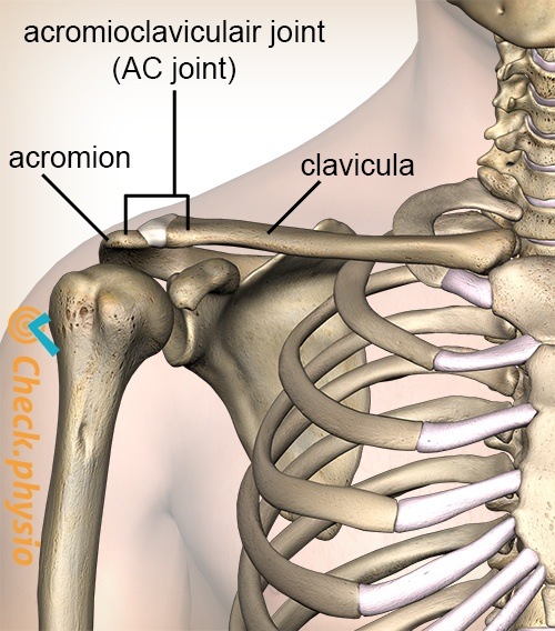 Acromioclavicular injury