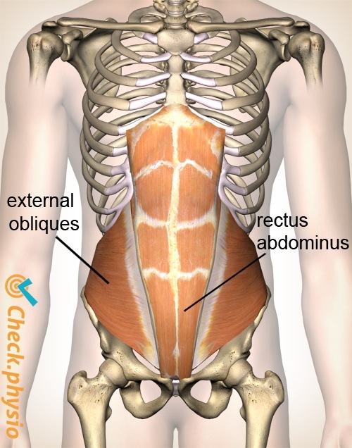 Pain in the abdominal muscles